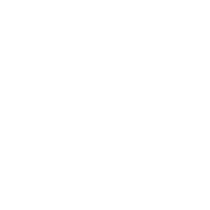 Trasporto e Pulizia Finale